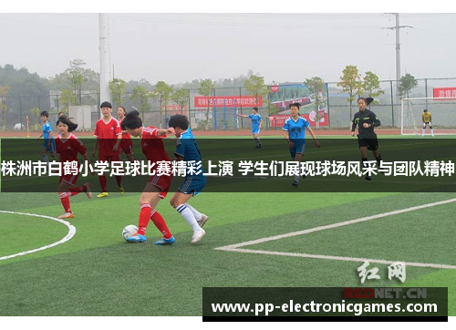 株洲市白鹤小学足球比赛精彩上演 学生们展现球场风采与团队精神